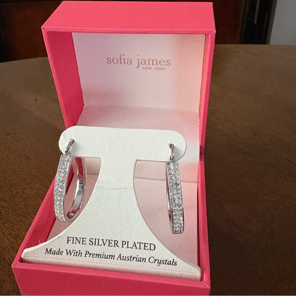 Silver Hoop Earrings with Crystals NEW